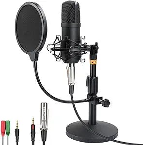 ZHENREN it up with this Professional Studio Condenser Microphone!